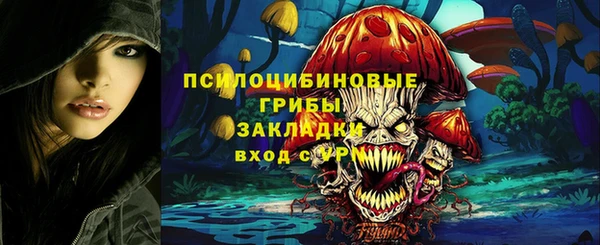 гашик Лагань