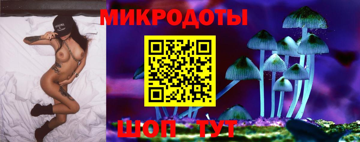 Галлюциногенные грибы GOLDEN TEACHER  Вход с VPN  Галлюциногенные грибы Cubensis  Хасавюрт 